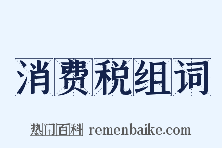消费税组词是什么意思的图片